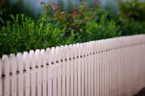 Picket Fence